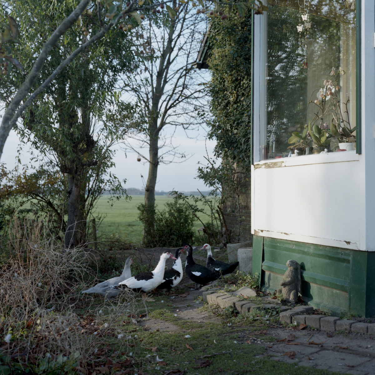 © Sandra Hazenberg 