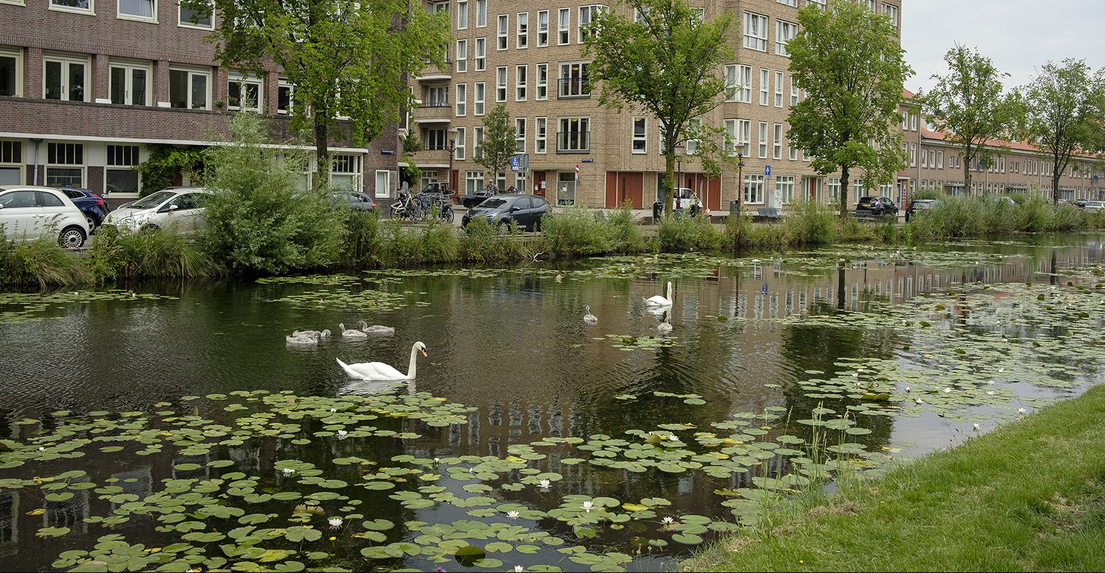 © Huub Zeeman