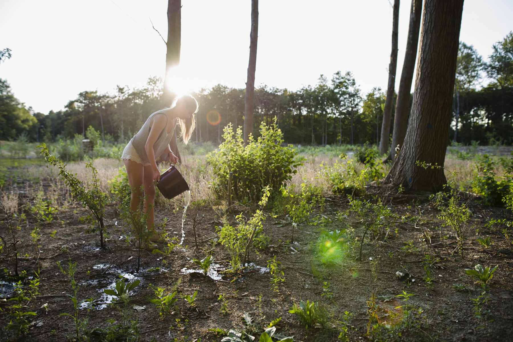 Flickr©
