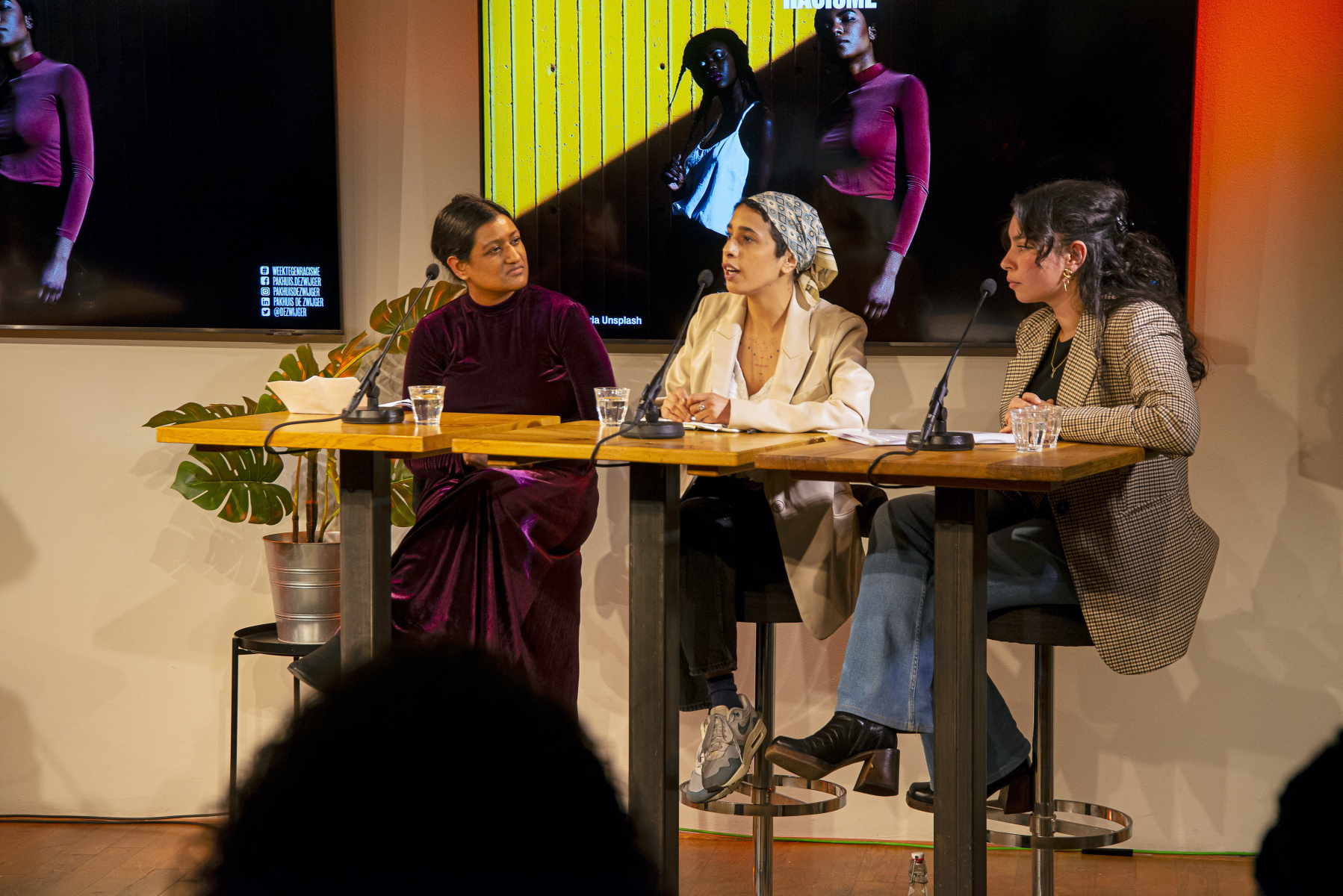 Colorisme Panel