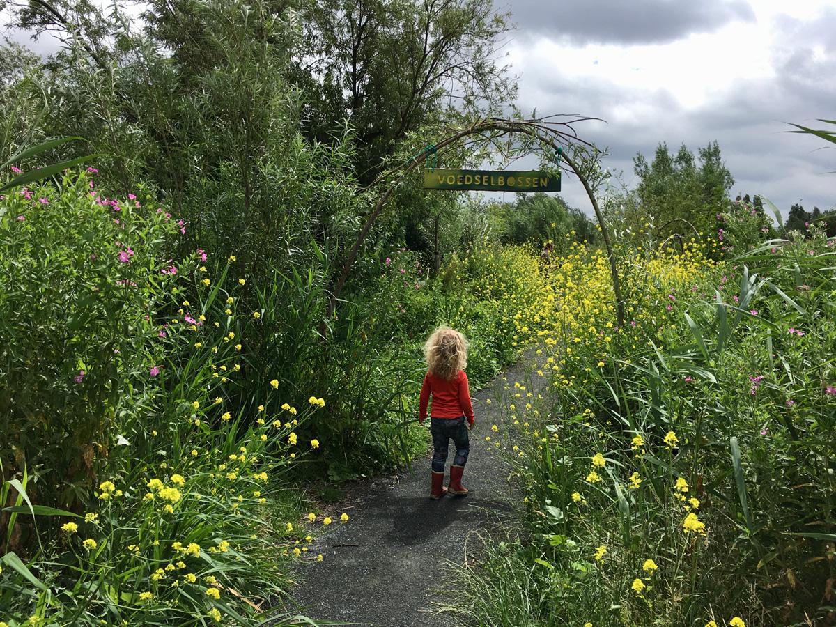© Anna's Tuin & Ruigte