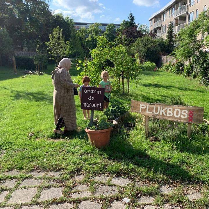 © Plukbos