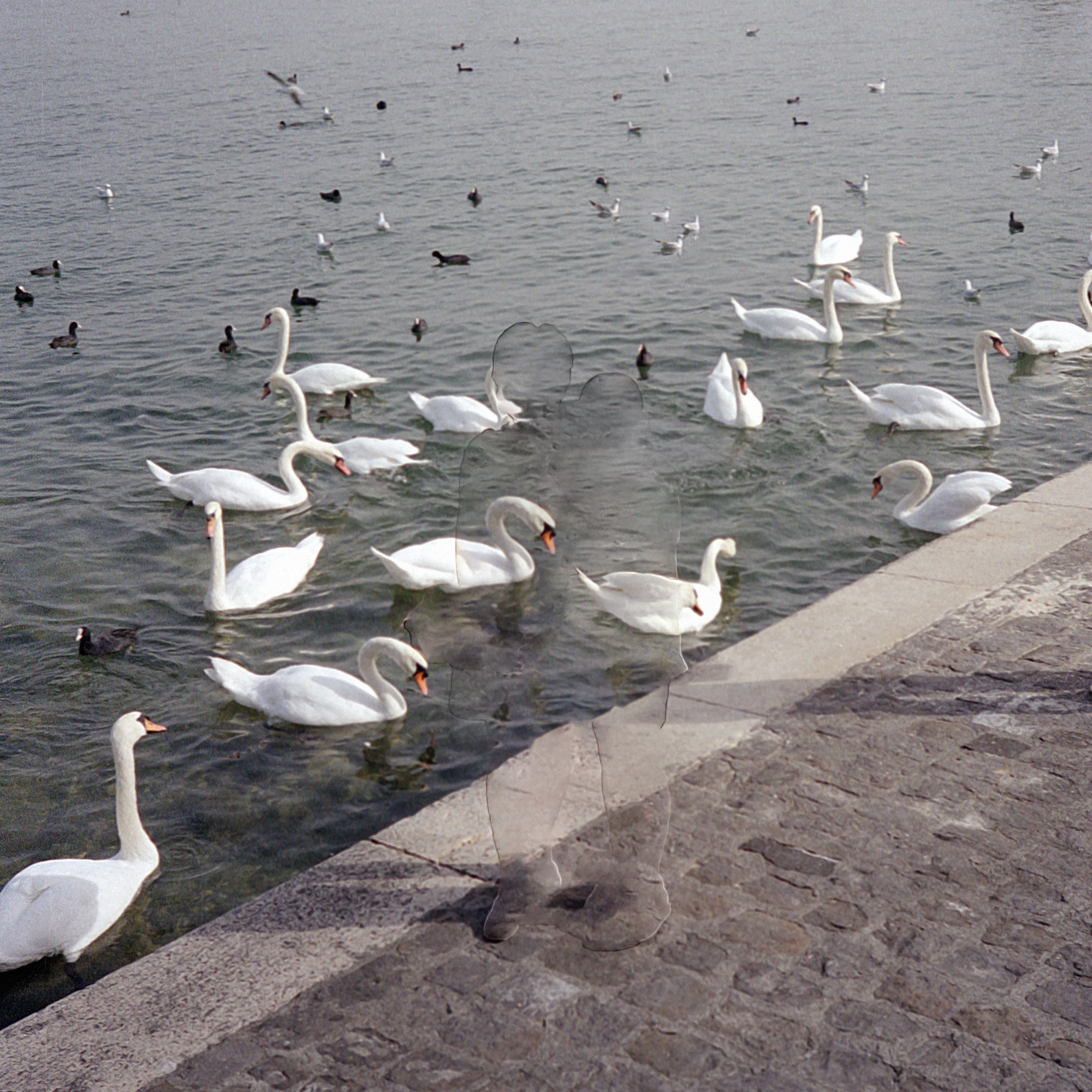 Photo: Nhu Xuan Hua