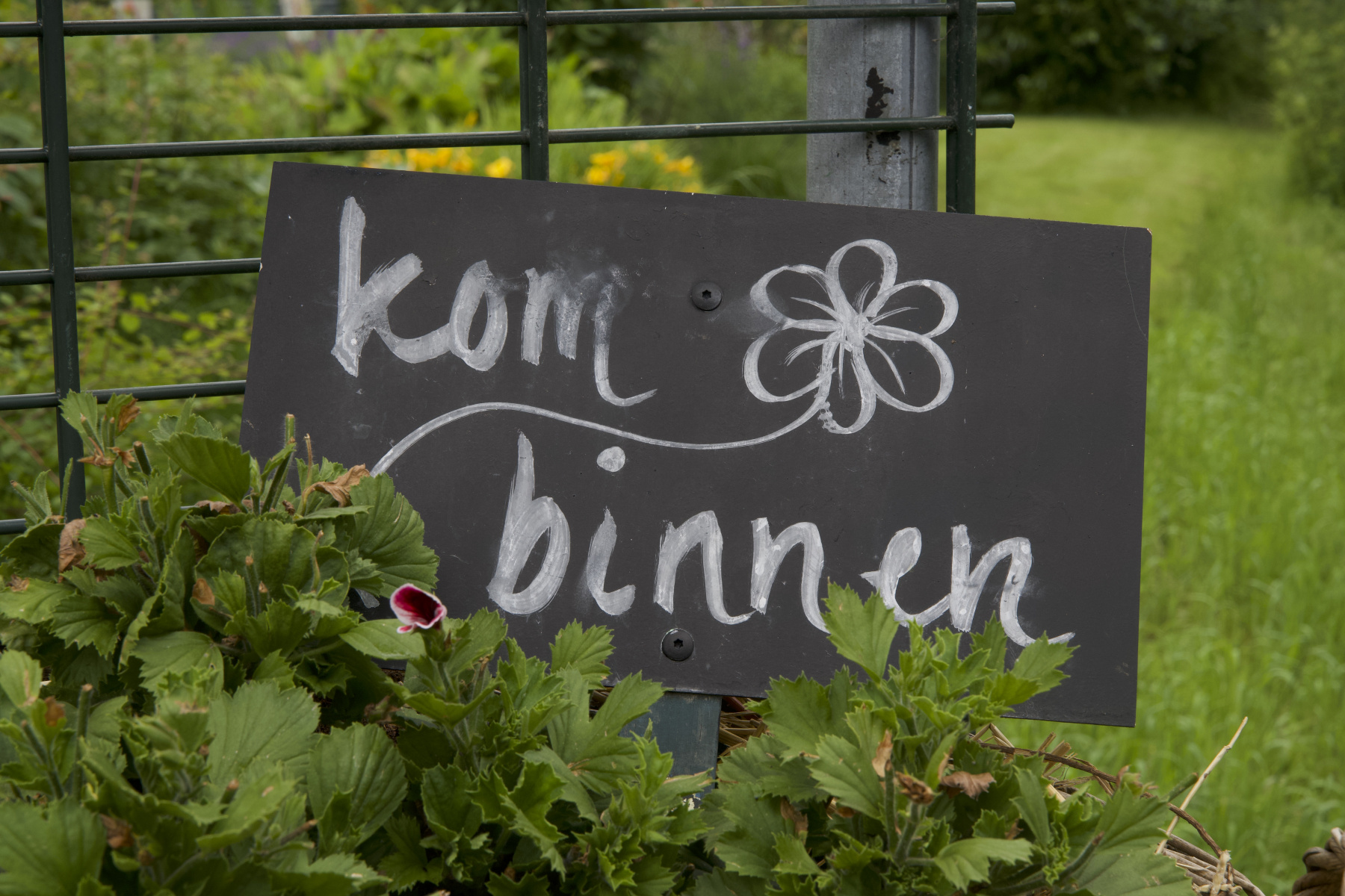 © Anmar Lewe van Middelstum