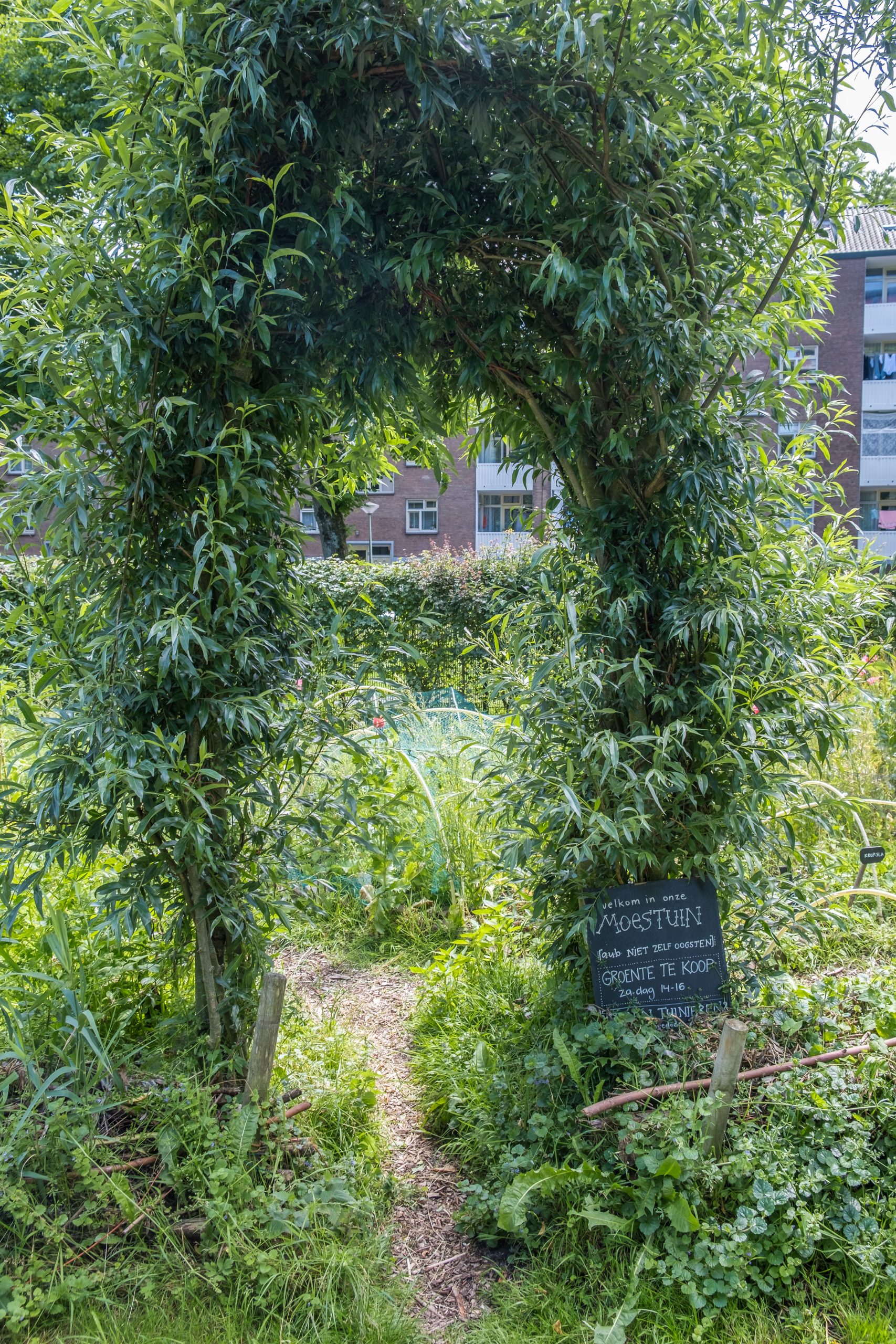 Huub Zeeman voor Pakhuis de Zwijger©