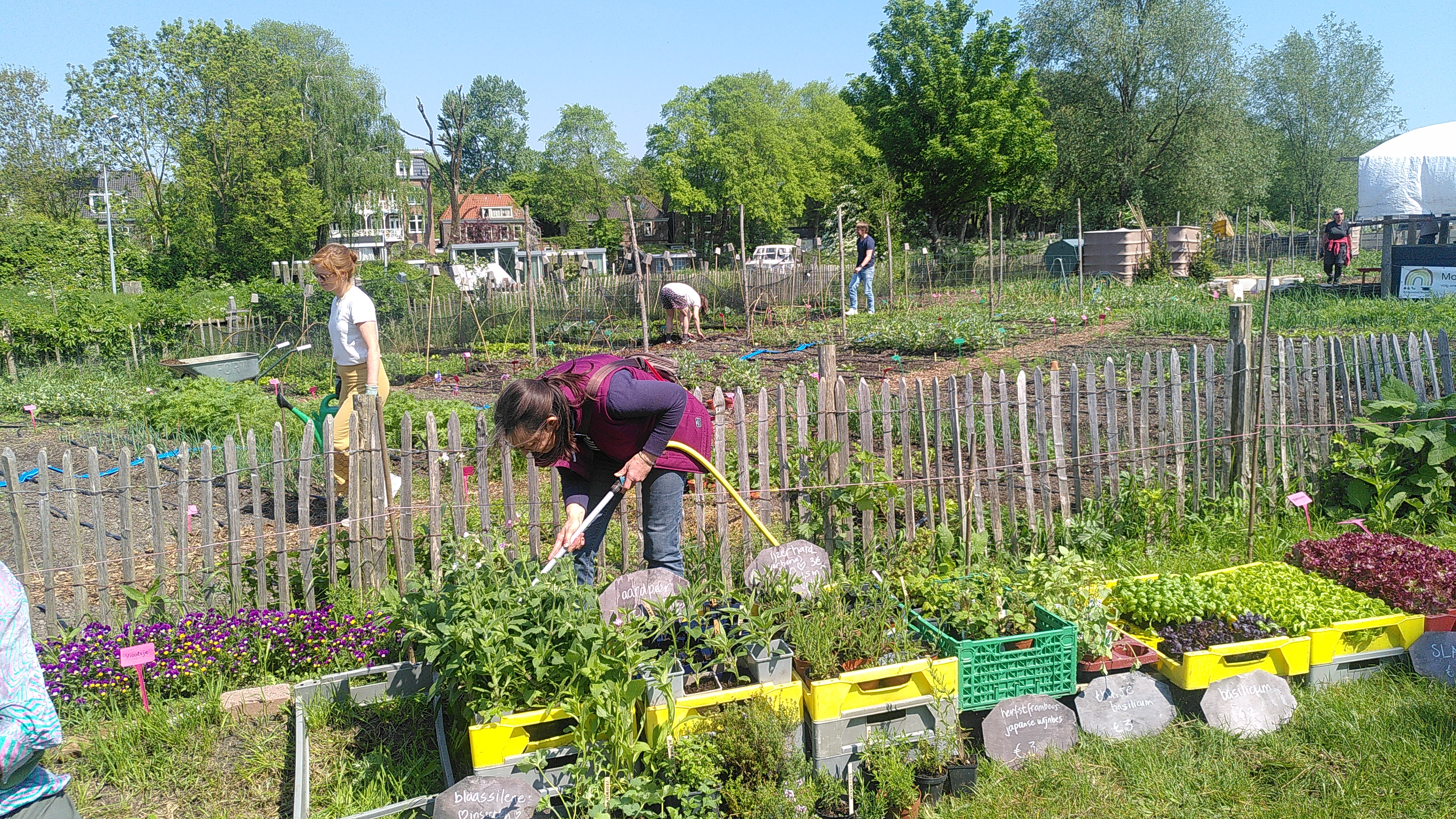 © Moestuinschool Amsterdam