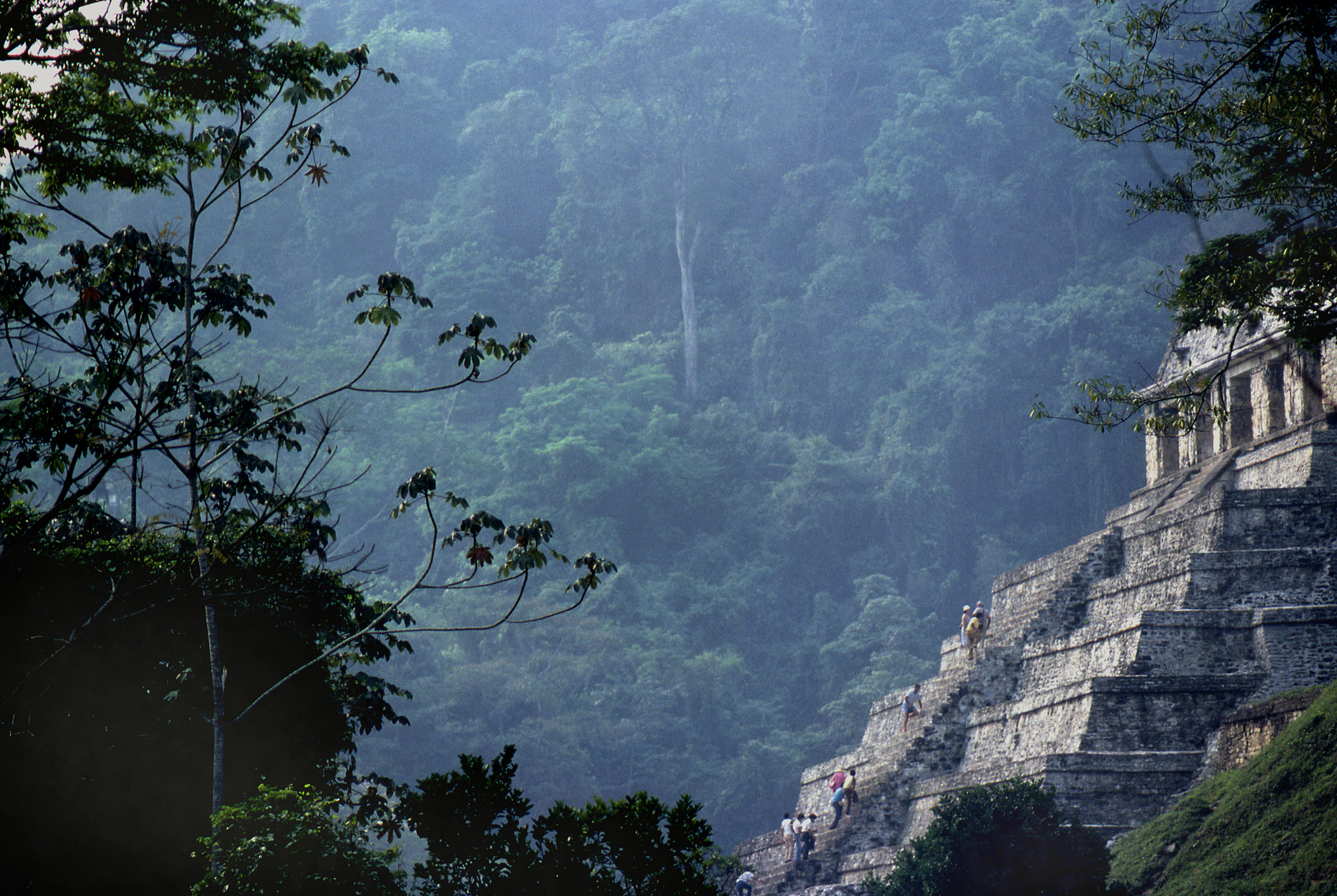 Mexico, Chiapas, Palenque. Tourists climb the stairs of the Maya temple of Inscriptians ( est.around 700 AD), a famous pre-columbian archaeological attraction. Foto ANP/ Hollandse-Hoogte / Paul van Riel