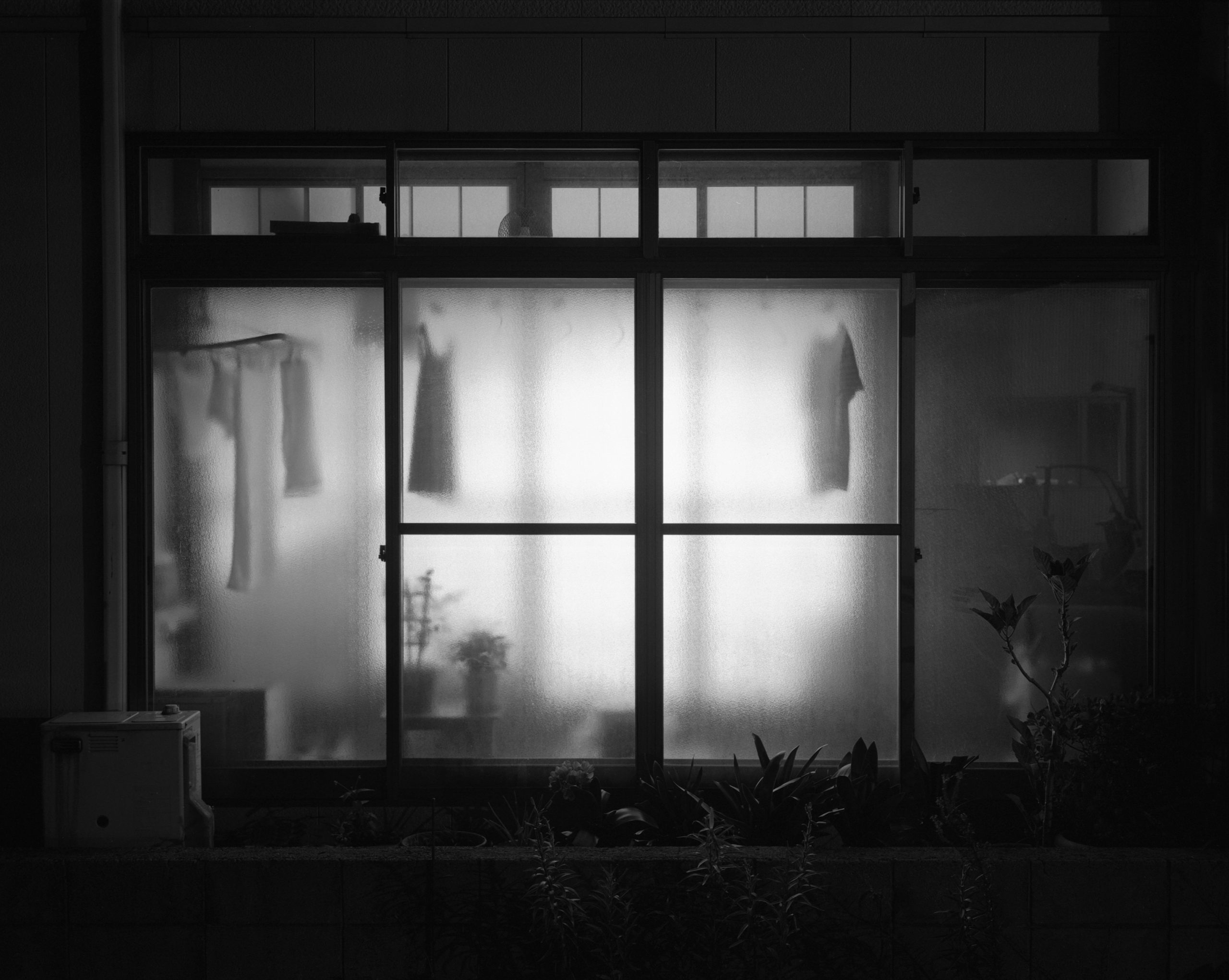 © Awoiska van der Molen