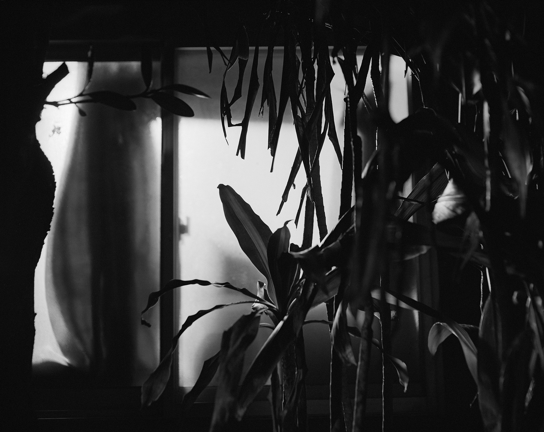 © Awoiska van der Molen