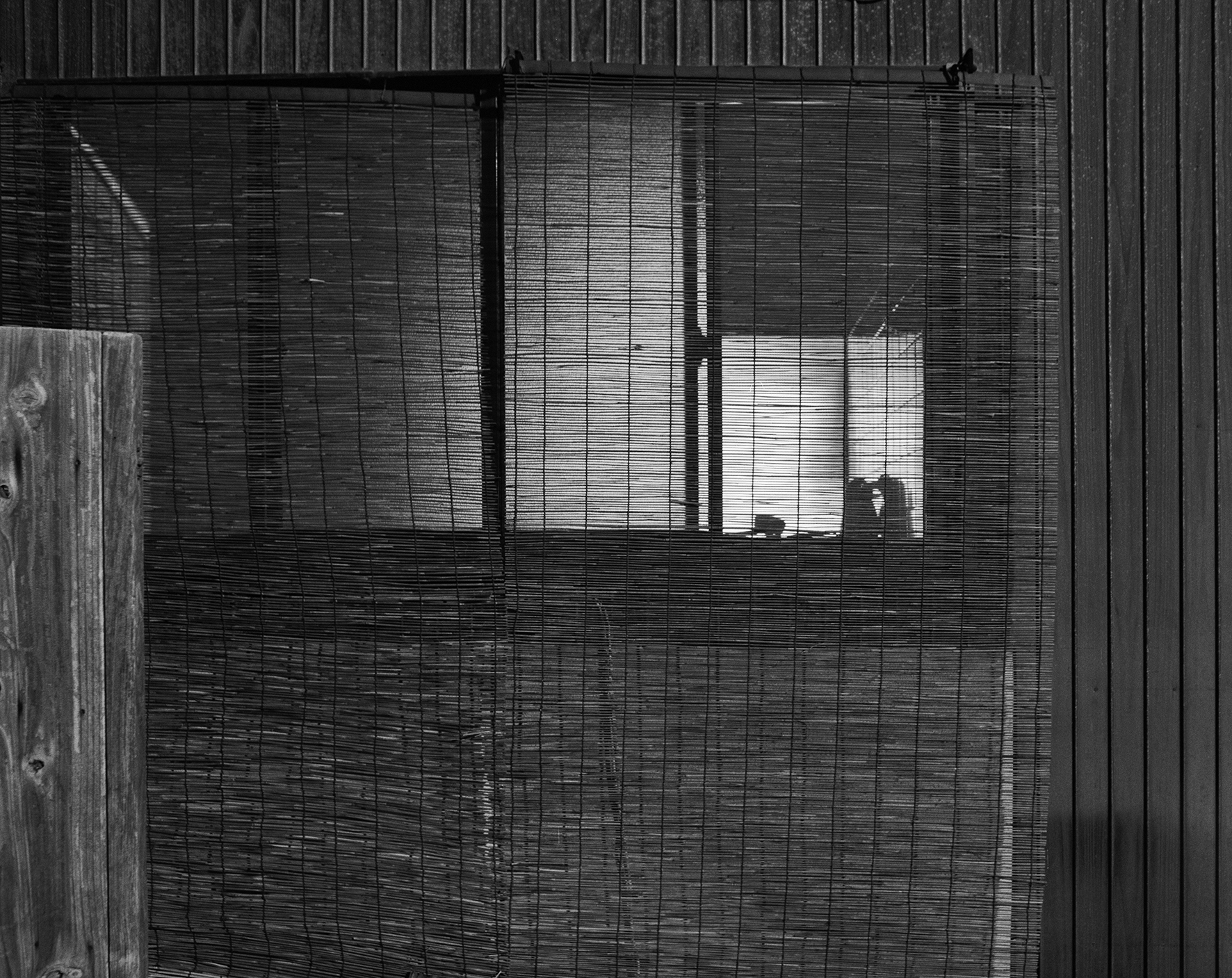© Awoiska van der Molen