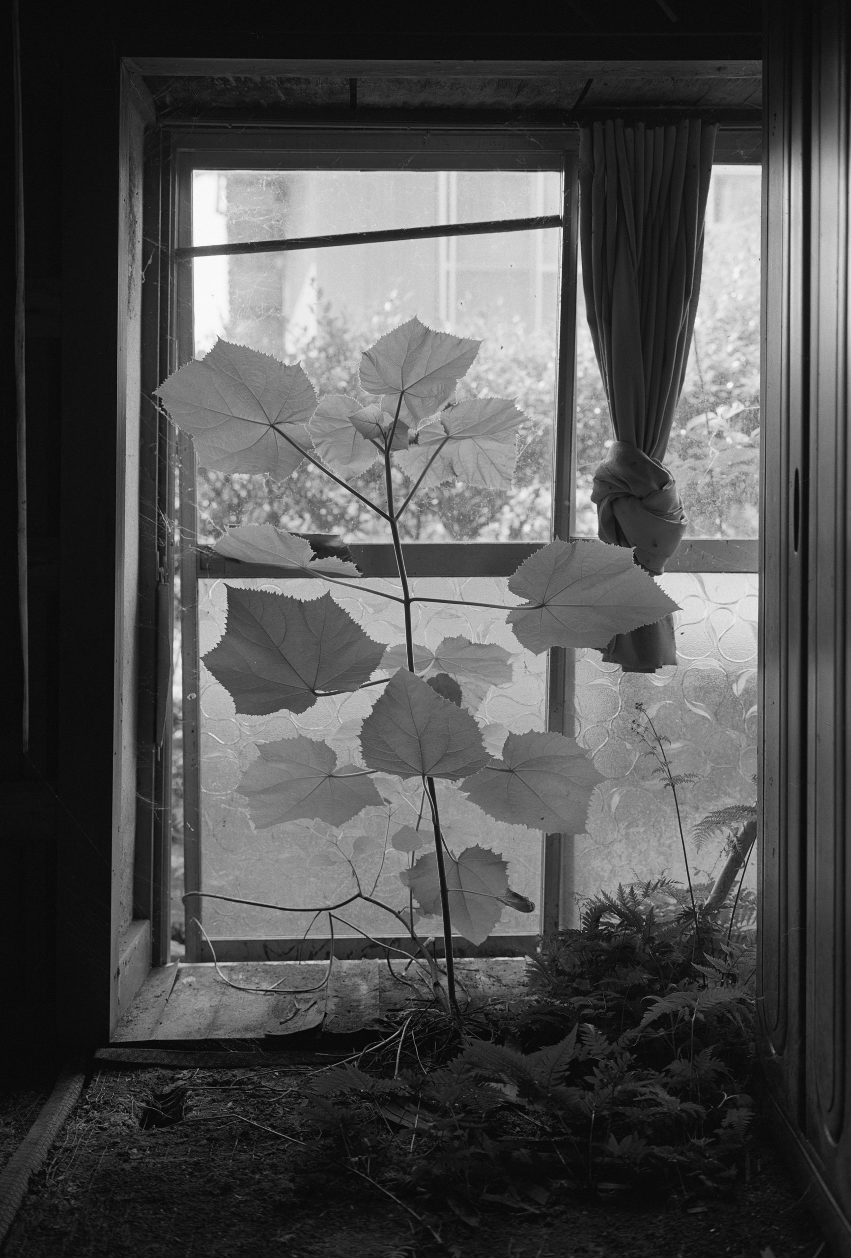 © Awoiska van der Molen
