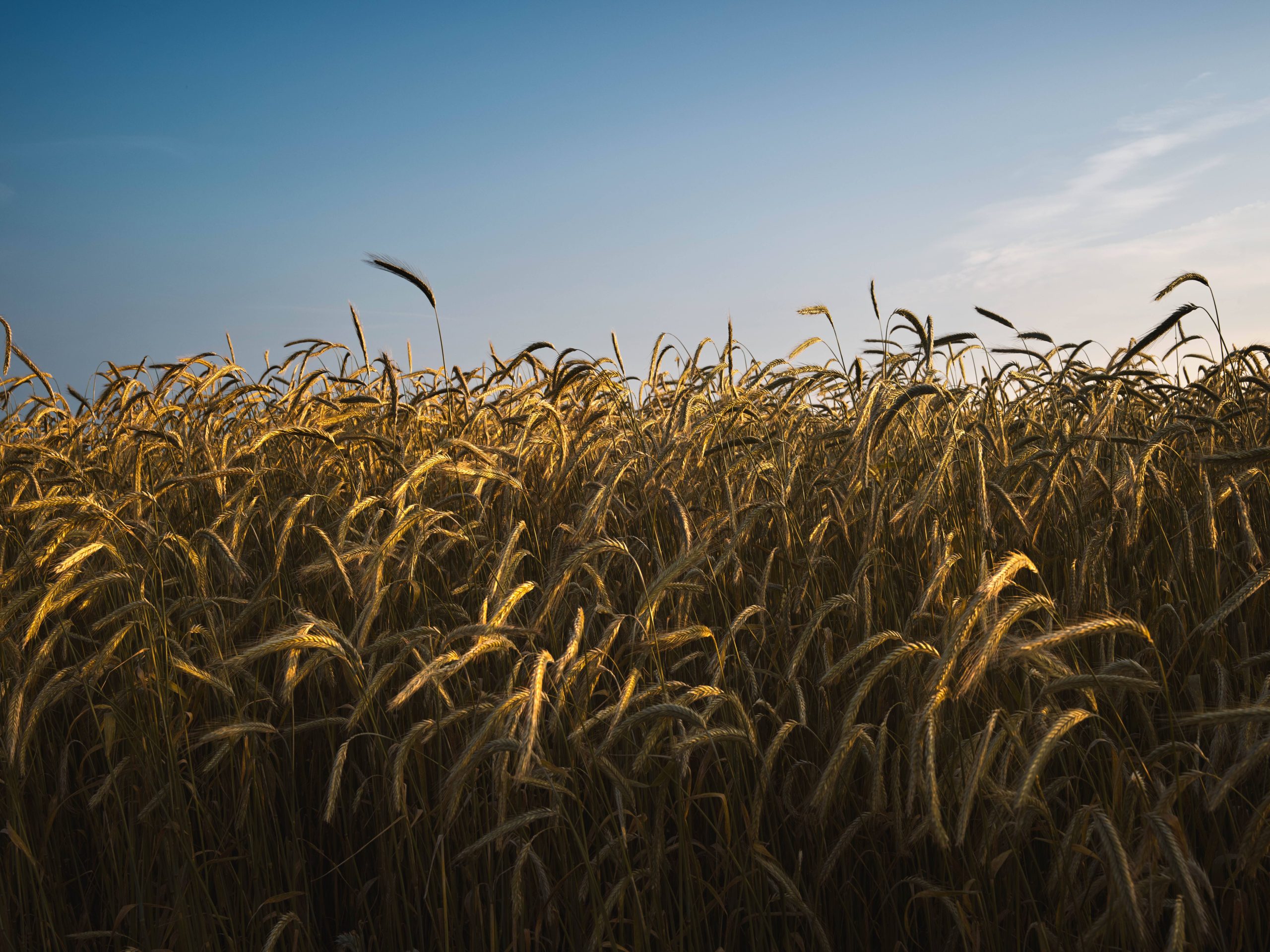 ©Beeld, Resilience Food Stories.