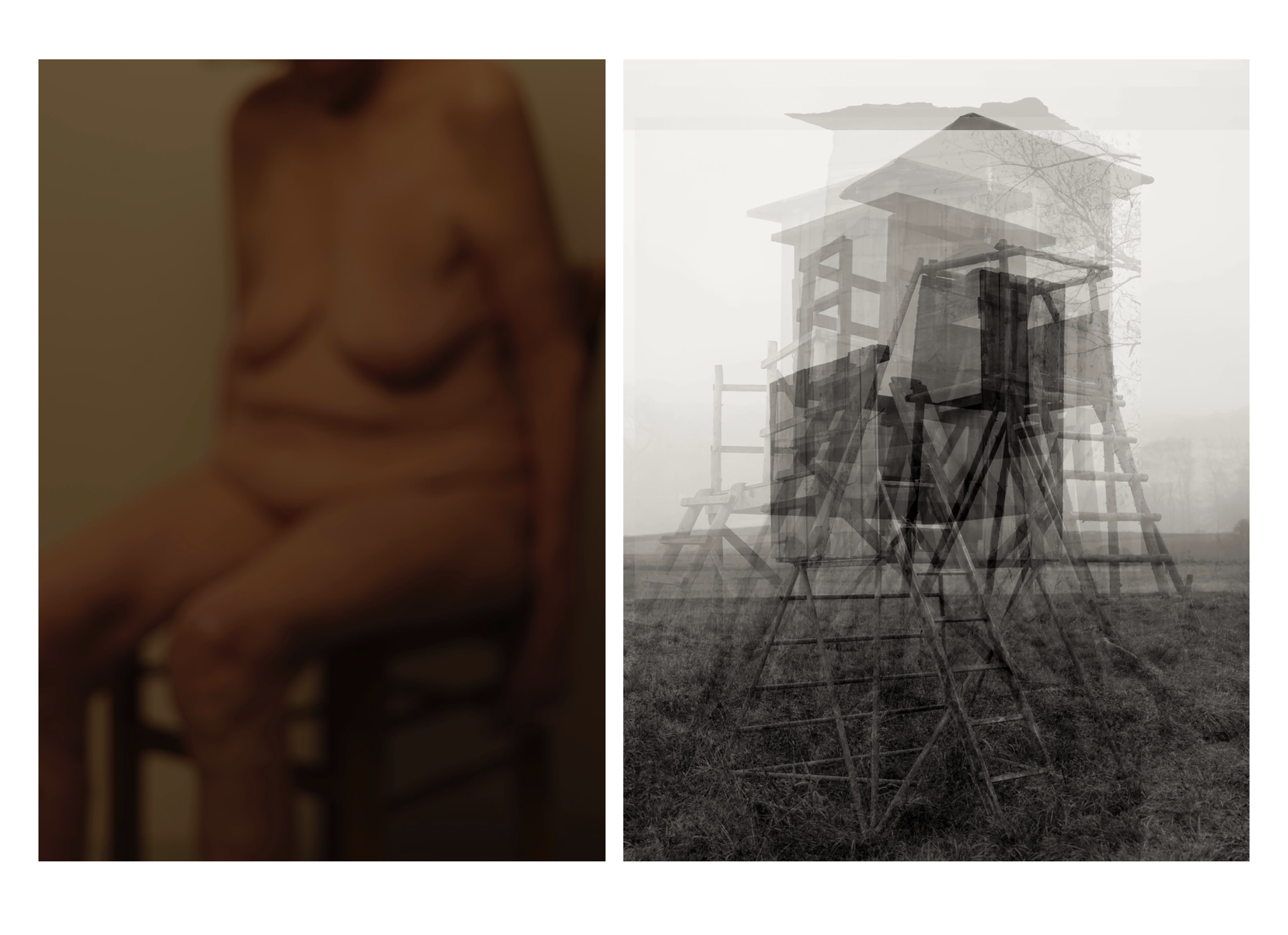 Annaleen Louwes