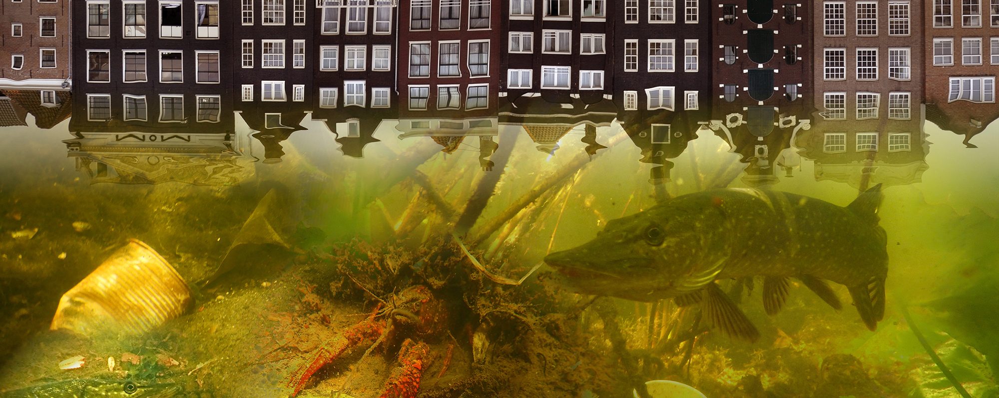 De stad onder de waterspiegel